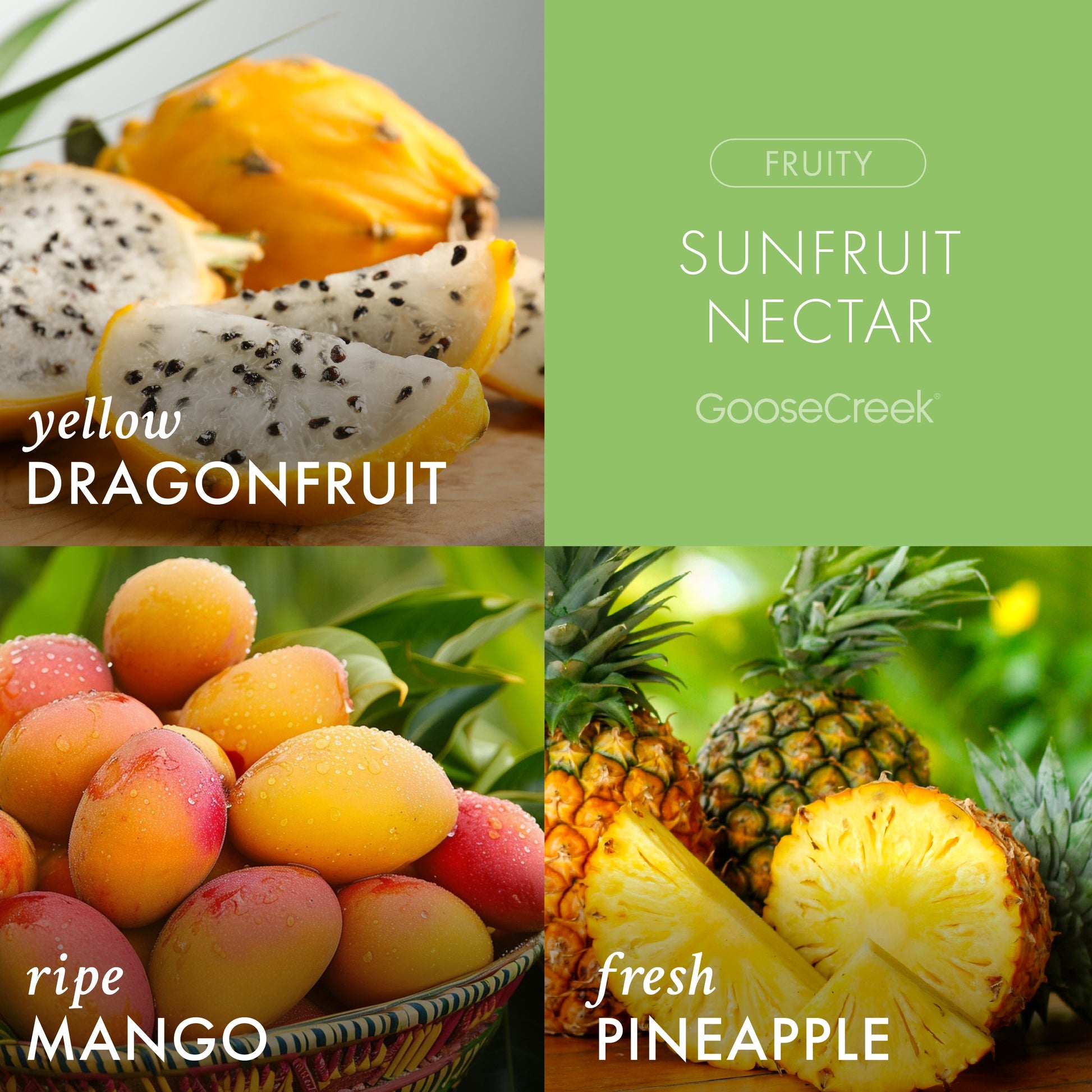 Sunfruit Nectar 3-Wick Candle