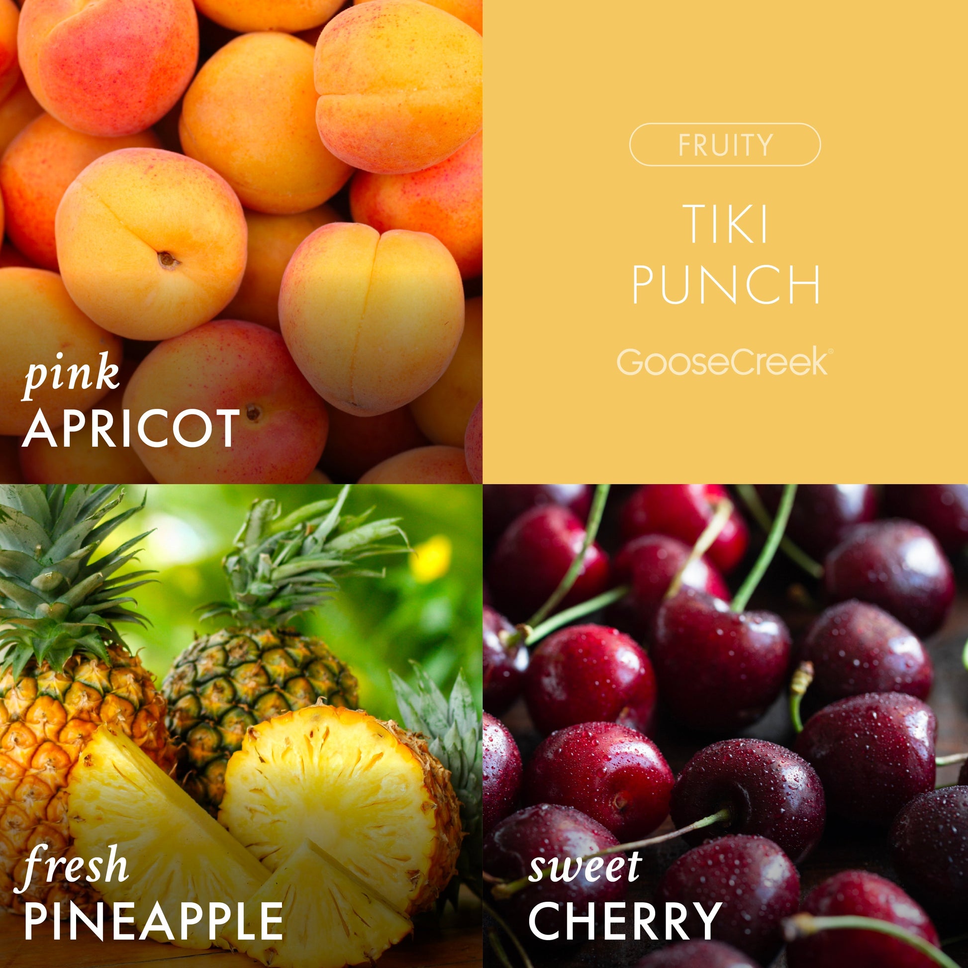 Tiki Punch 3-Wick Candle